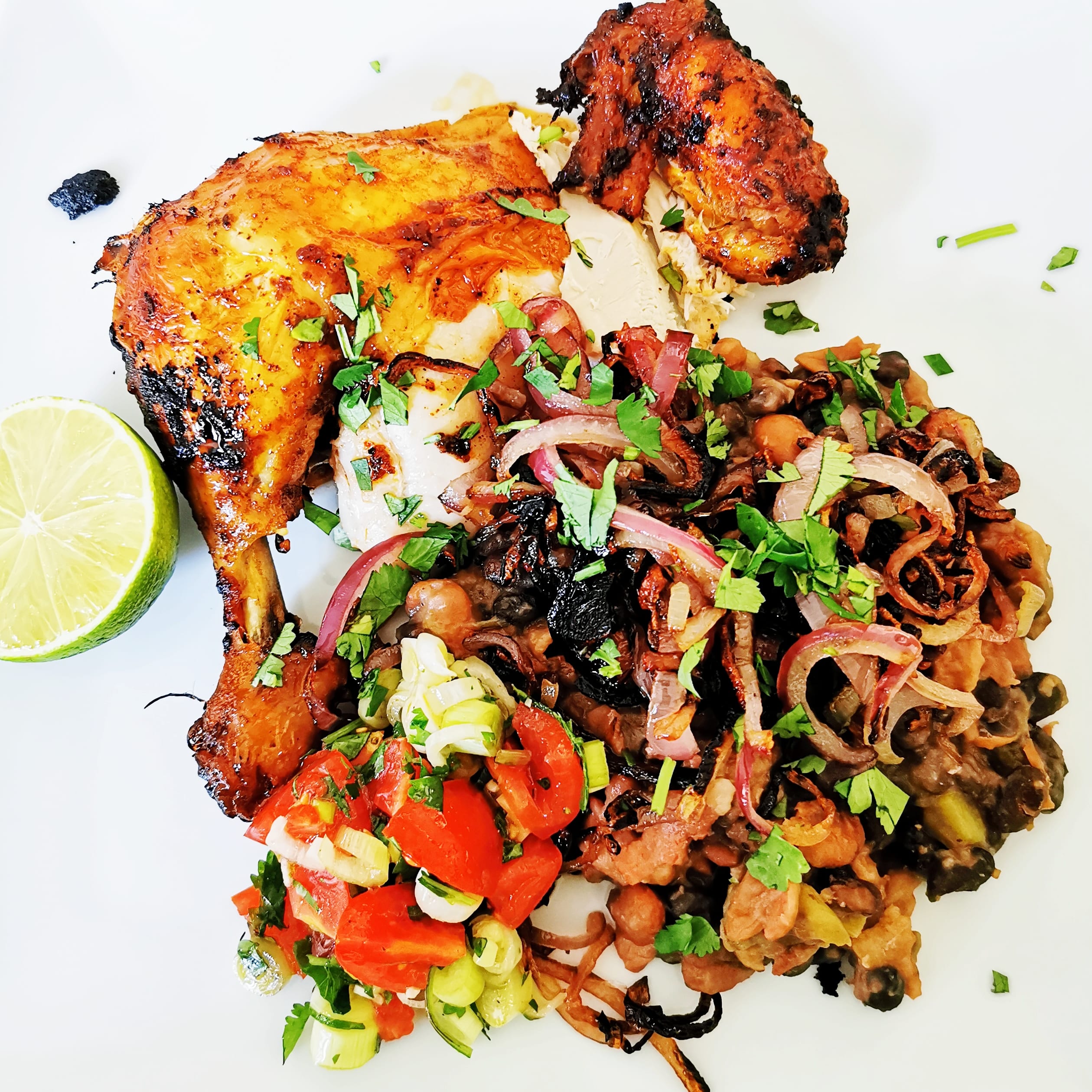 chicken with beans, fried onions and coriander